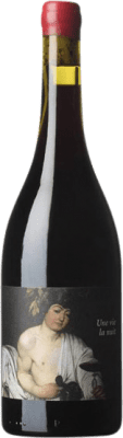 Clos du Rouge Gorge Hors Champ Une Vie La Nuit Syrah Vin de Pays Côtes Catalanes 75 cl