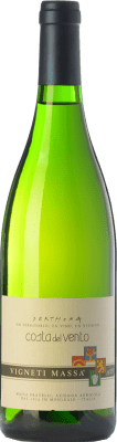 Vigneti Massa Costa del Vento Bacca Branca Colli Tortonesi 75 cl