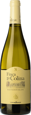 Vinos Sanz Finca La Colina Sauvignon Bianca Rueda Giovane 75 cl