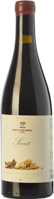 Vinyes d'en Gabriel Secret Garnacha — Гренаш Montsant молодое 75 cl