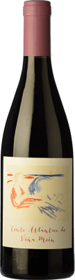 Viña Meín Atlántico Ribeiro Crianza 75 cl