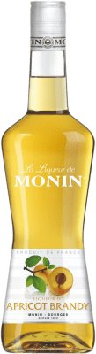 Schnaps Monin 70 cl Apricot — Aprikose
