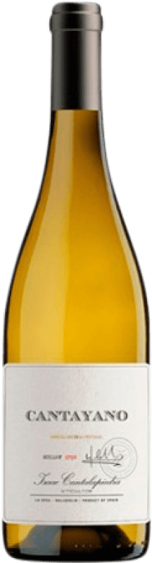 Бесплатная доставка | Белое вино Cantalapiedra Cantayano I.G.P. Vino de la Tierra de Castilla Кастилья-Ла-Манча Испания Verdejo — Вердехо 75 cl