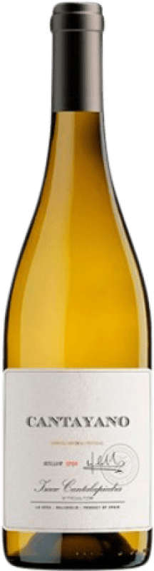 Envoi gratuit | Vin blanc Cantalapiedra Cantayano I.G.P. Vino de la Tierra de Castilla Castilla La Mancha Espagne Verdejo 75 cl