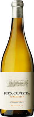 Mustiguillo Finca Calvestra 1,5 L