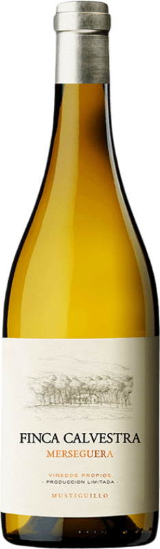 56,95 € 送料無料 | 白ワイン Mustiguillo Finca Calvestra D.O.P. Vino de Pago El Terrerazo マグナムボトル 1,5 L