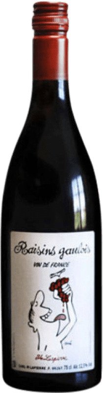 Envío gratis | Vino tinto Marcel Lapierre Raisins Gaulois Rouge A.O.C. Morgon Beaujolais Francia Gamay Ecológico 75 cl