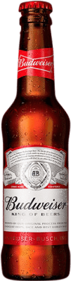 送料無料 | 24個入りボックス ビール Budweiser アメリカ 1/3ボトル 33 cl