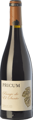 Margón Pricum Paraje de El Santo Tierra de León 瓶子 Magnum 1,5 L