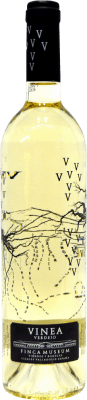 Museum Vinea Verdejo — Вердехо Cigales 75 cl