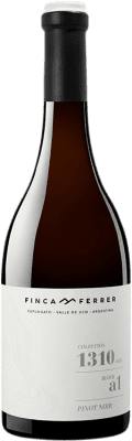 Finca Ferrer 1310 Pinot Noir Valle de Uco Colección — Coleção 75 cl