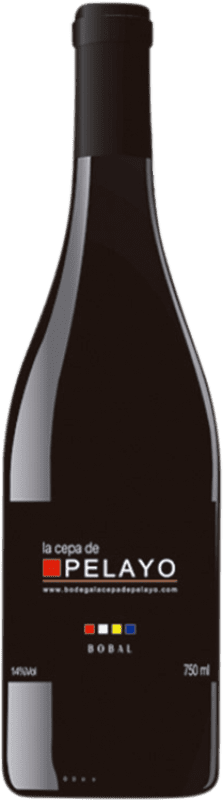 17,95 € Kostenloser Versand | Rotwein La Cepa de Pelayo D.O. Manchuela