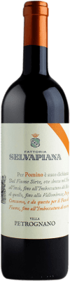 Selvapiana Villa Petrognano Roso