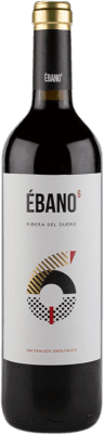 Ébano 6 Tempranillo Ribera del Duero 75 cl