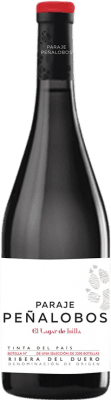 Lagar de Isilla Paraje Peñalobos Tempranillo — Темпранильо Ribera del Duero 75 cl