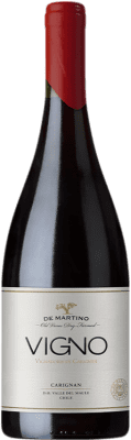 De Martino Old Vines Vigno