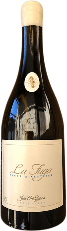 Envio grátis | Vinho branco JAG Viticultor La Fuga Finca A Xesteira Galiza Espanha Albariño 75 cl