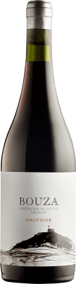 Bouza Pinot Black 75 cl