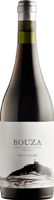 Bouza Pan de Azúcar Pinot Noir — Пино Нуар 75 cl
