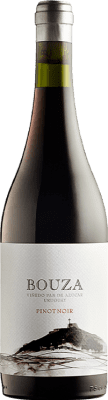 Bouza Pan de Azúcar Pinot Preto 75 cl