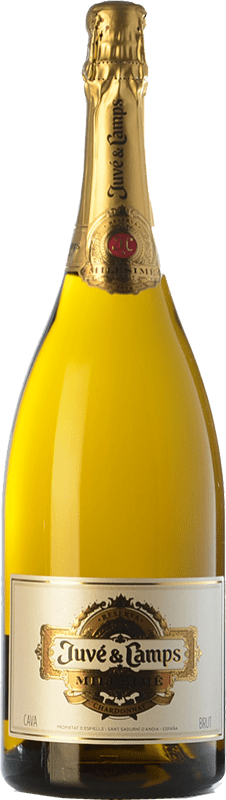 59,95 € | Espumante branco Juvé y Camps Milesimé Brut Grande Reserva D.O. Cava Catalunha Espanha Chardonnay Garrafa Magnum 1,5 L