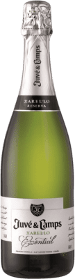 Juvé y Camps Brut 予約