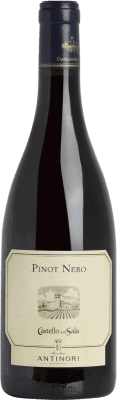 Castello della Sala Antinori Pinot Black Italy 75 cl