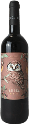 Vendrell Rived Miloca Garnacha — Grenache Montsant Crianza — Invecchiato in Botte 75 cl