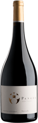 Viña Ventisquero Pangea Syrah 75 cl