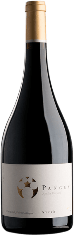 46,95 € | Red wine Viña Ventisquero Pangea Chile Syrah Bottle 75 cl