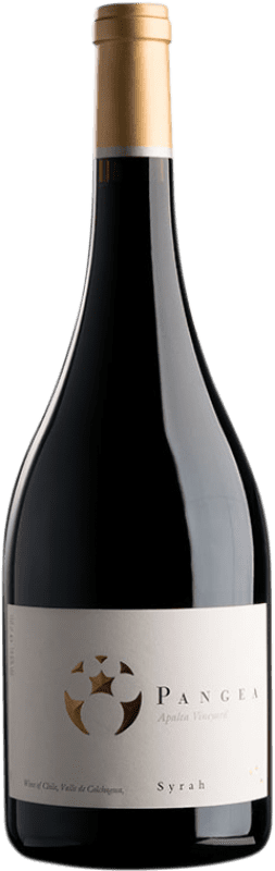 64,95 € Spedizione Gratuita | Vino rosso Viña Ventisquero Pangea
