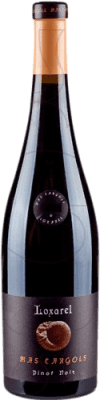 Loxarel Mas Cargols Pinot Nero Penedès Crianza — Invecchiato in Botte 75 cl