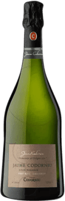 Codorníu Jaume Brut Cava Grand Reserve — Long Barrel-Aged Magnum Bottle 1,5 L