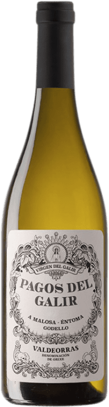 Envío gratis | Vino blanco Virxe de Galir Pagos del Galir Joven D.O. Valdeorras Galicia España Godello 75 cl