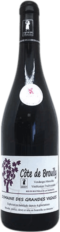 11,95 € | Vino rosso Domaine des Grandes Vignes Côte de Brouilly Crianza A.O.C. Bourgogne Francia Pinot Nero, Gamay 75 cl