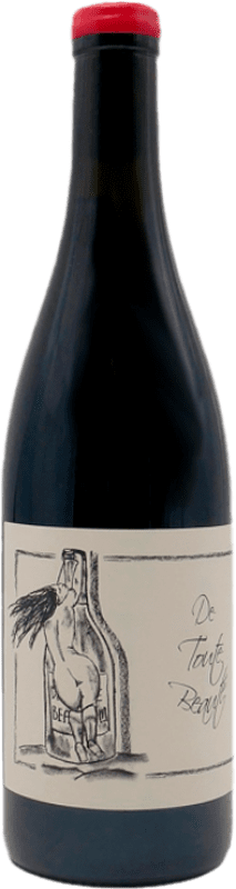 Free Shipping | Red Wine Jean-François Ganevat Toute Beauté Nature Young A.O.C. France France Syrah — Shiraz, Pinot Noir, Gamay 75 cl