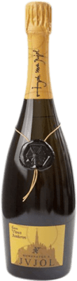 Vives Ambròs Homenatge JVJOL Xarel·lo Brut Nature Cava Große Reserve — Lange Reifung 75 cl