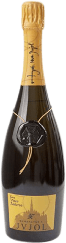 Envoi gratuit | Blanc mousseux Vives Ambròs Homenatge JVJOL Brut Nature Grande Réserve D.O. Cava Catalogne Espagne Xarel·lo 75 cl