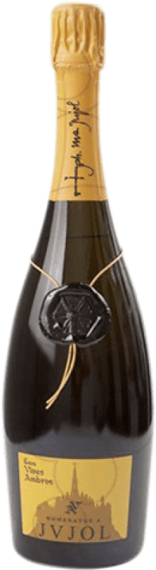 Envio grátis | Espumante Branco Vives Ambròs Homenatge JVJOL Brut Nature — Bruto Natural Grande Reserva D.O. Cava Catalunha Espanha Xarel·lo 75 cl