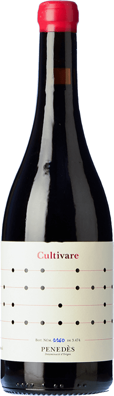 免费送货 | 红酒 Vallformosa Cultivare Tinto 岁 D.O. Penedès 加泰罗尼亚 西班牙 Mazuelo, Carignan, Sumoll 75 cl