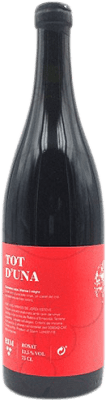 Vins Jordi Esteve Rim Tot d'Una Rosado Catalunya Jeune 75 cl