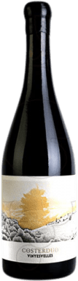 Davowin Costerduo Vinyes Velles Priorat 75 cl