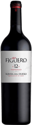 Figuero 12 Meses 高齢者 15 L