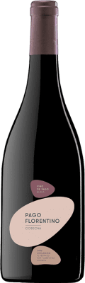 La Solana Pago Florentino Tempranillo Aged Magnum Bottle 1,5 L