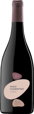 La Solana Pago Florentino Tempranillo Crianza — Invecchiato in Botte Bottiglia Magnum 1,5 L
