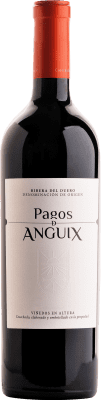 Pagos de Anguix 10 Meses Barrica Tempranillo Ribera del Duero 75 cl