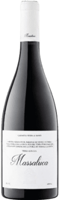 Vins de Relat Massaluca Terra Alta Crianza Botella Magnum 1,5 L