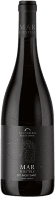 Mar d'Estels Negre Montsant Молодой 75 cl