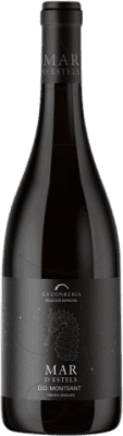 Mar d'Estels Montsant Giovane 75 cl