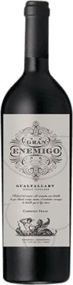 Aleanna Gran Enemigo Gualtallary 瓶子 Magnum 1,5 L